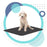 Pets Earthing Mat - Cats & Dogs